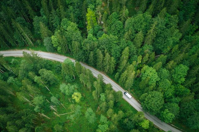 Green tree forest with omni logistics truck on road going through