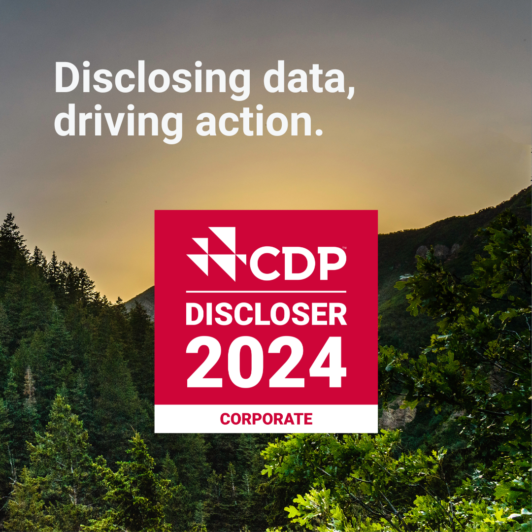 2024 disclosure recognition